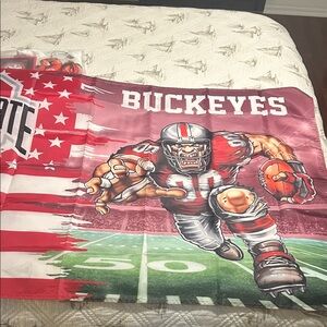 Ohio State flag / banner approx 3ftx5 ft silk new in pkg. Cost $20 & Shipping
